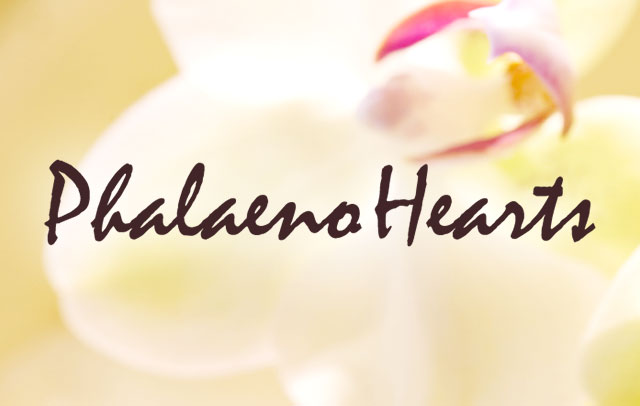 法人様向け 胡蝶蘭専門ショッピングサイト Phalaeno Hearts