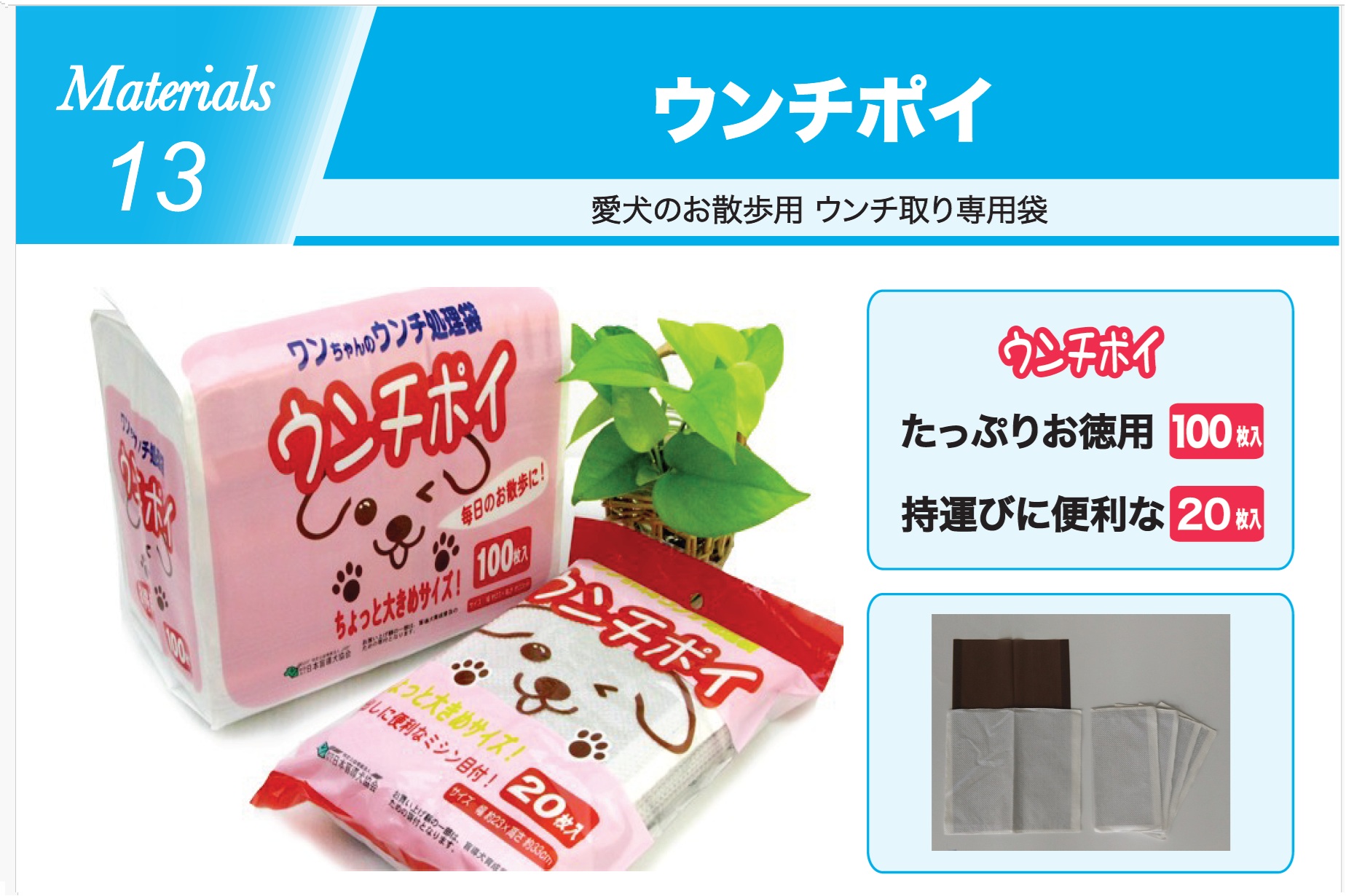 M13　ウンチポイ
